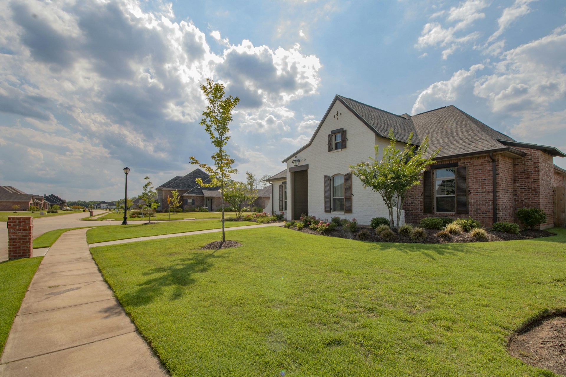 Landscaping project