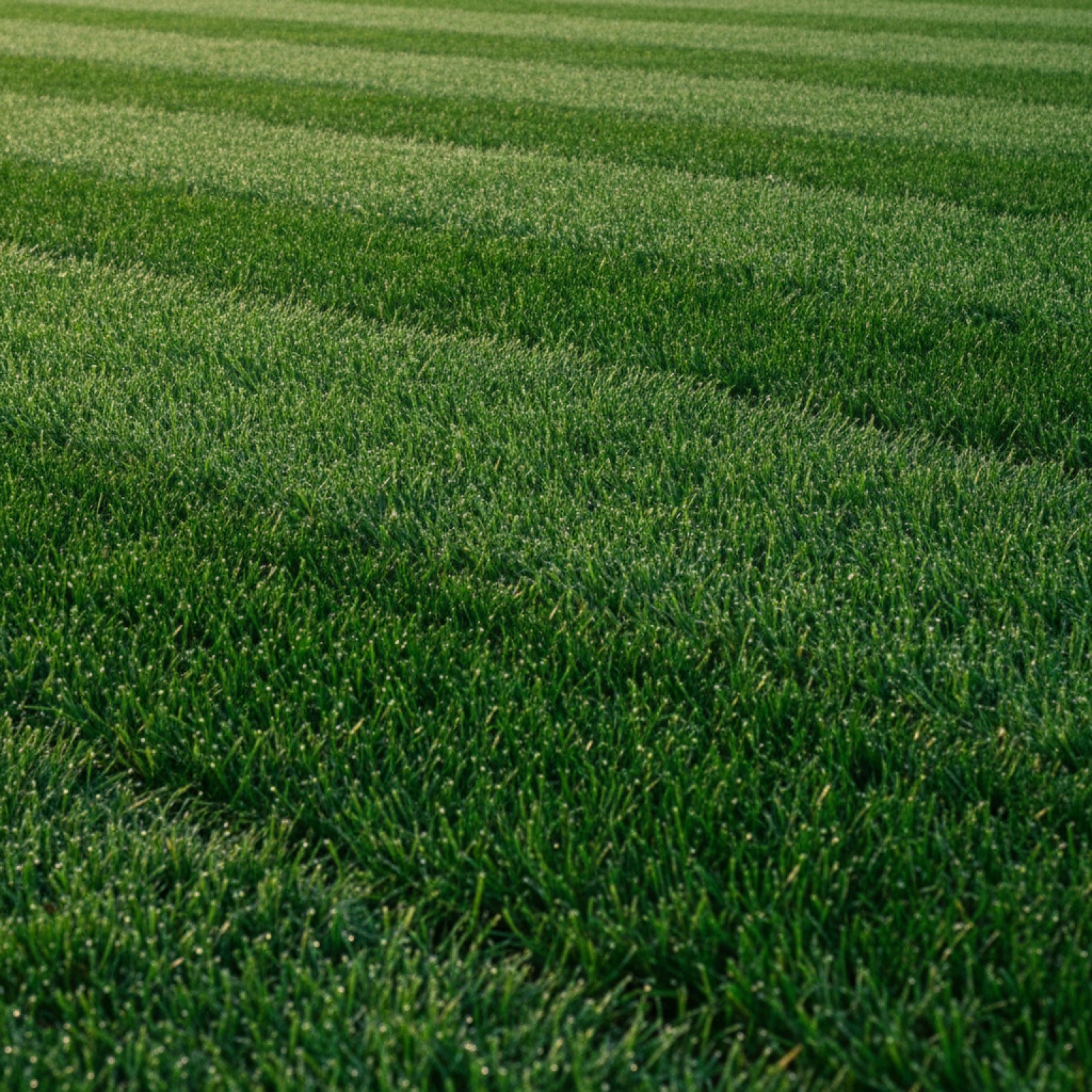 Irrigation Systems